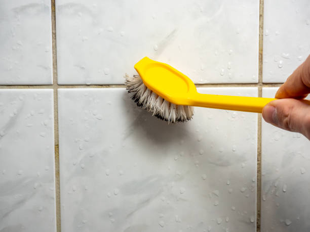 Best Mold Cleaning Services  in Piqua, OH